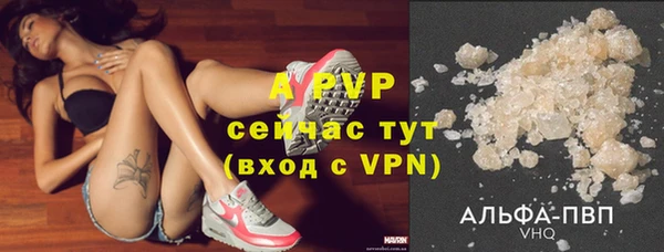 шишки Белокуриха