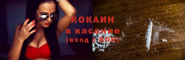 шишки Белокуриха