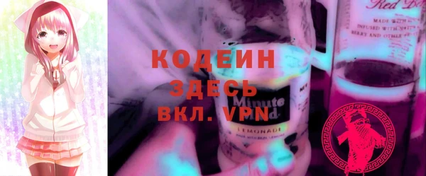 шишки Белокуриха