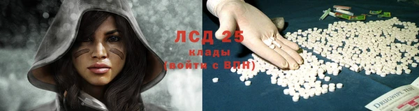 шишки Белокуриха