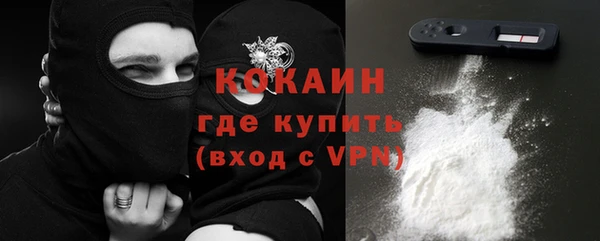 шишки Белокуриха