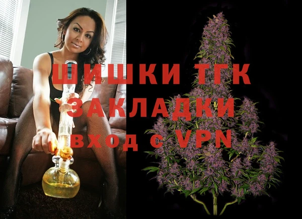 шишки Белокуриха