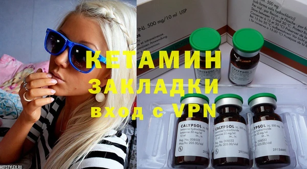 шишки Белокуриха